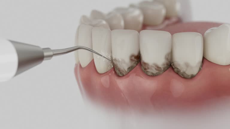 Reliable Dental contractor in Warden, WA by Dentist Open Now